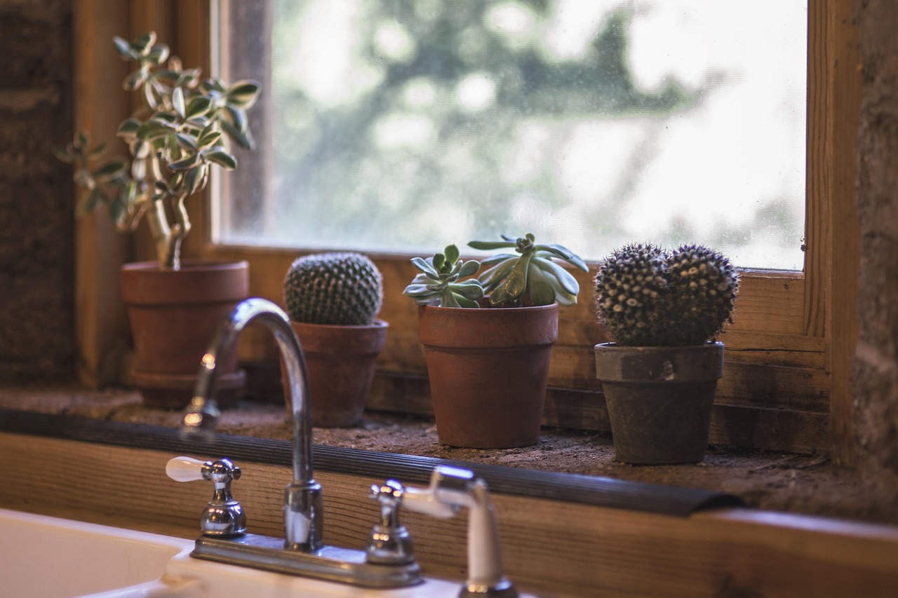 cactus, kitchen, design, interior, table, modern, sink, window, outside, inside, ledge, home, style, house, apartment, wooden, wood, estate, faucet, clean, dining, counter, indoor, lifestyle, brown home, brown house, brown kitchen, brown wood, brown…